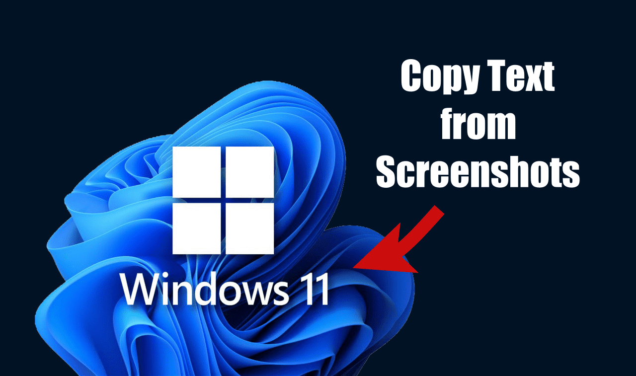 How to Copy Text from Screenshots on Windows 11