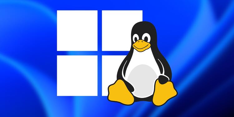 Wine vs máquinas virtuales