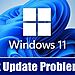 ¿Windows 11 Instala la Misma Actualización?