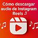 Cómo descargar audio de Instagram Reels
