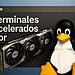 Terminales acelerados por GPU